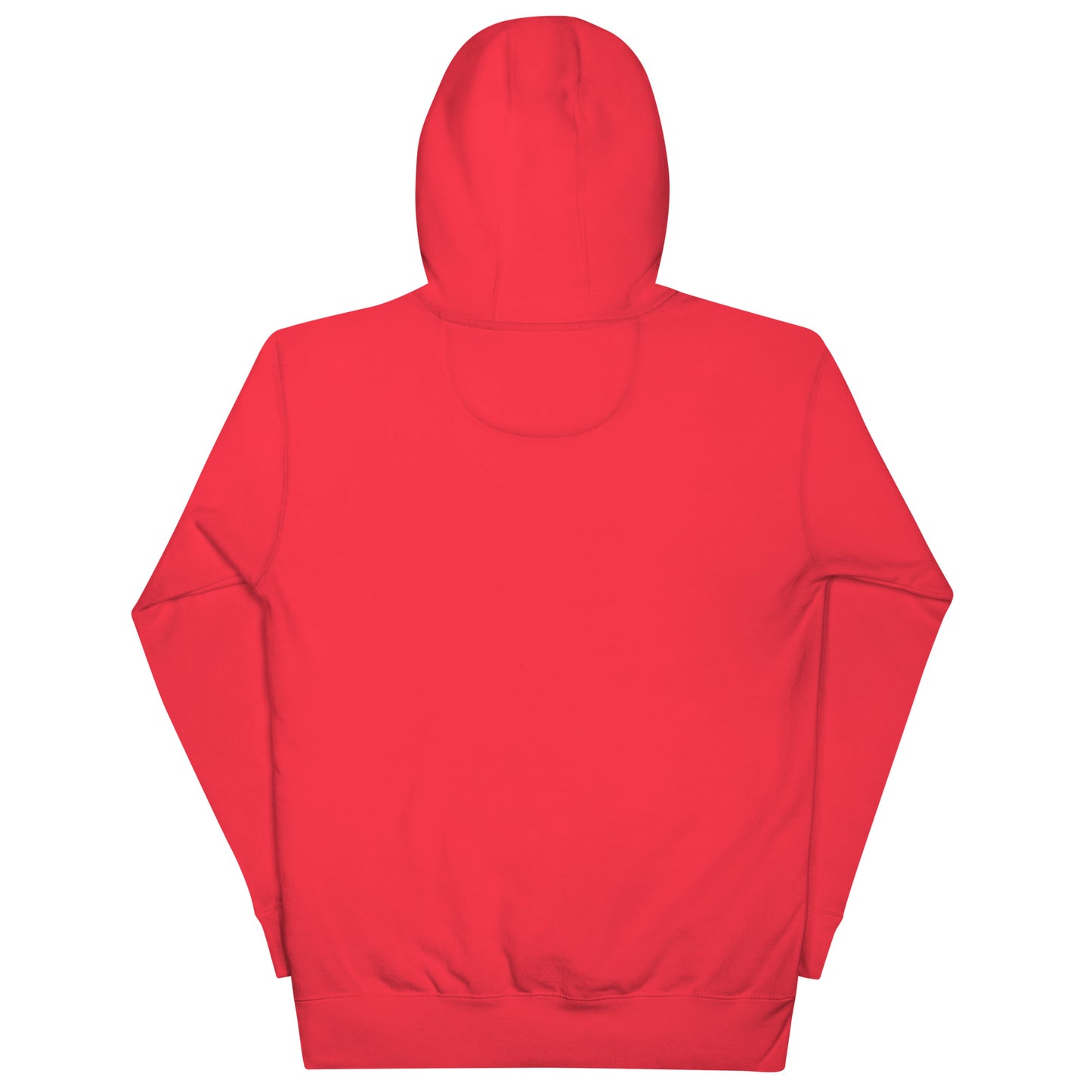 unisex hoodie back view premium quality streetwear
