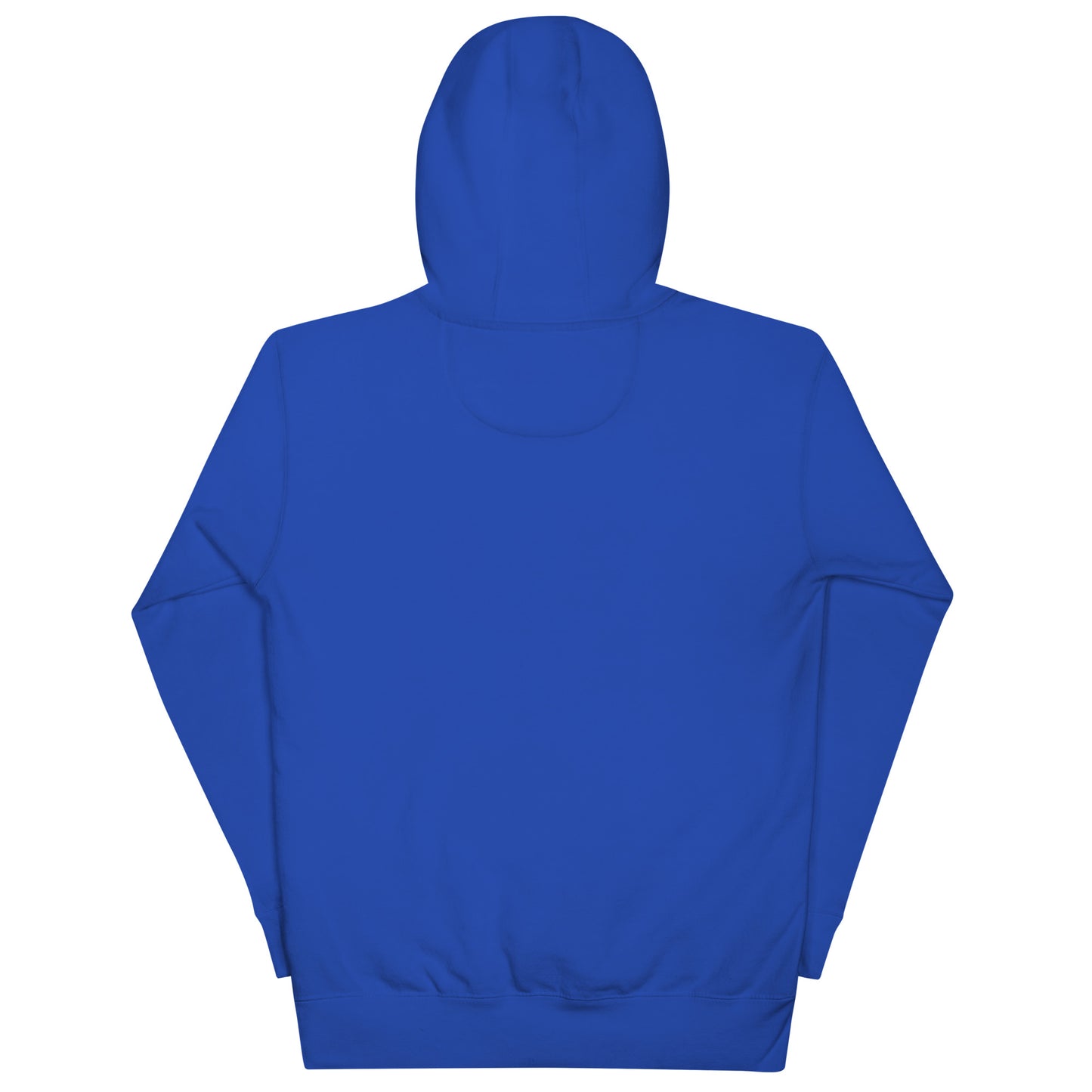 unisex hoodie back view premium quality streetwear