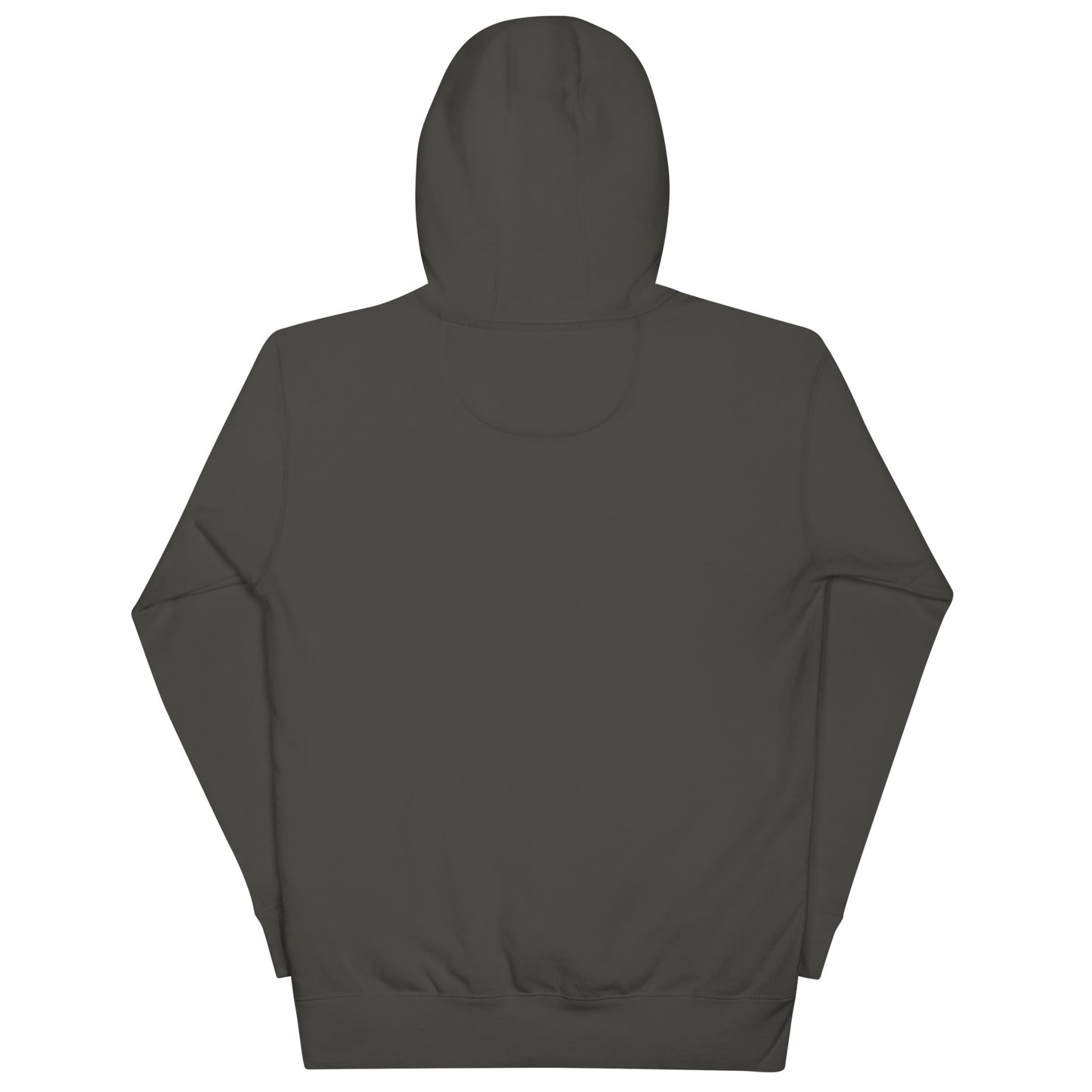 unisex hoodie back view premium quality streetwear